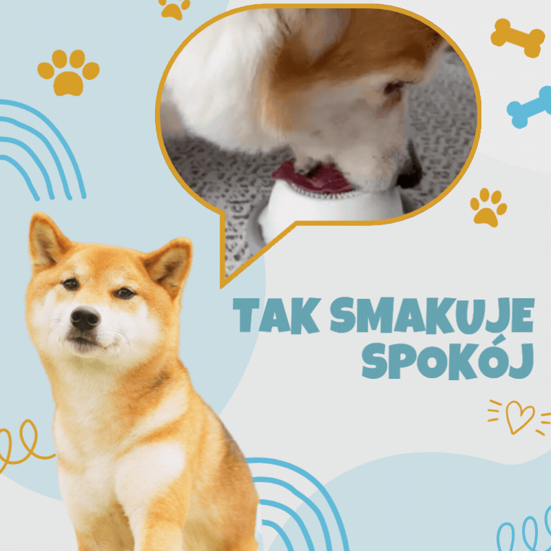 Spokojniejsze tempo jedzenia, które wspiera naturalne trawienie