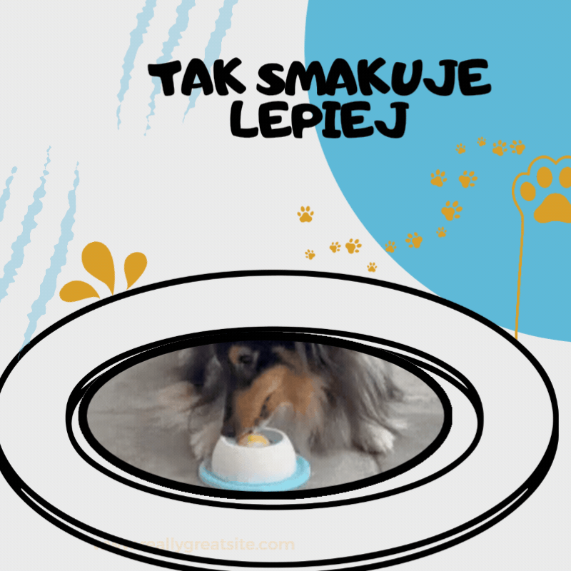 Spokój w domu zaczyna się od lizania