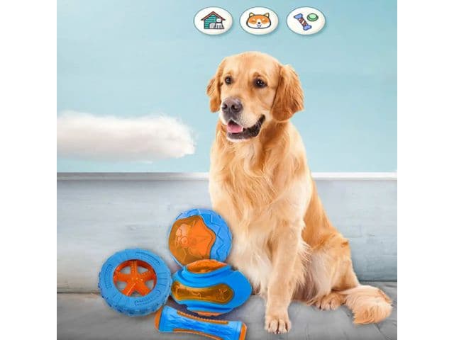 4 Interaktywne zabawki dla psa